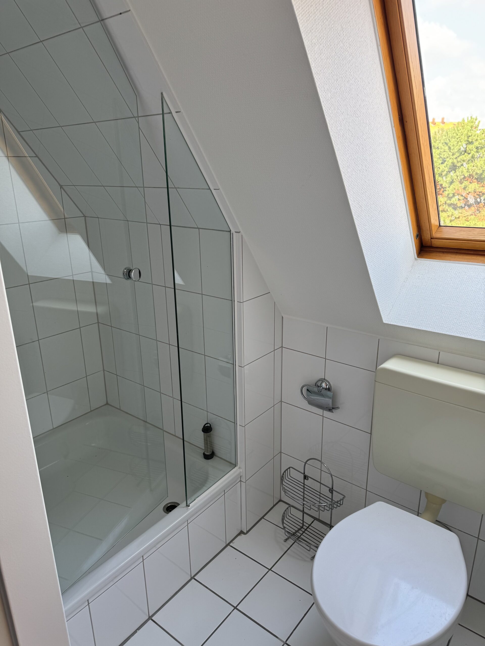 Badezimmer mit Blick auf die Dusche